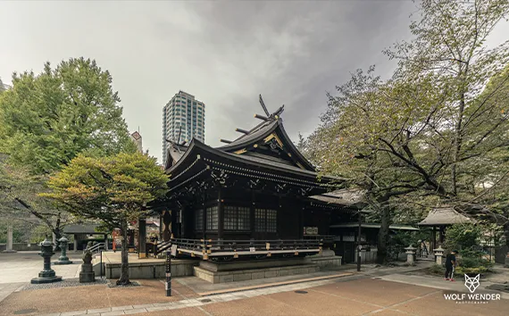 Wender Media - SEO Agentur Dessau-Roßlau