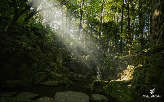 SEO Agentur Halle (Saale) - Suchmaschinenoptimierung in Ihrer Nähe