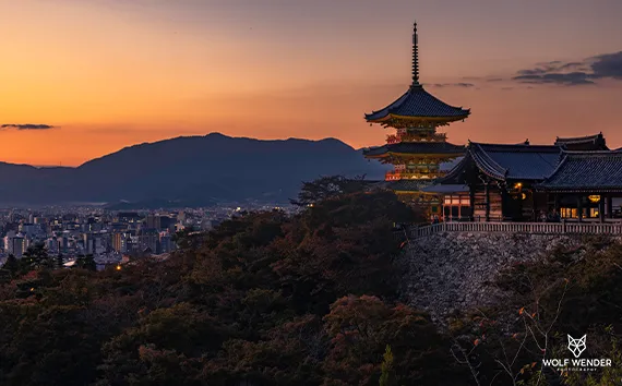 Dessau-Roßlau - SEO Agentur für Anhalt-Bitterfeld