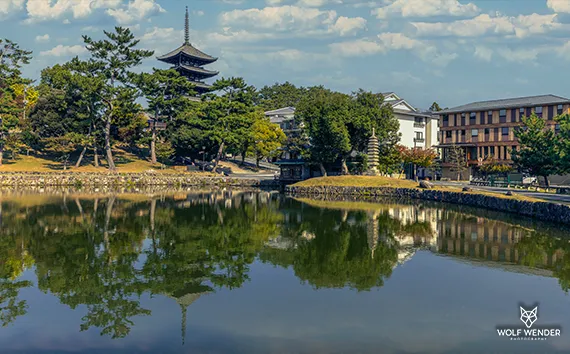 SEO-Texte Dessau-Roßlau - Professionelle Texterstellung für bessere Rankings