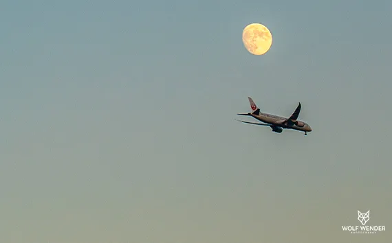 Landingpage-Optimierung in Dessau-Roßlau - Mehr Conversions durch bessere Seiten