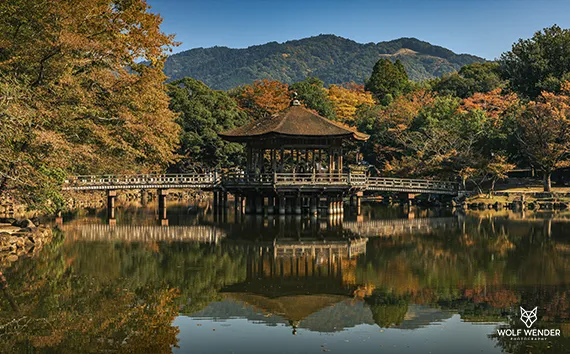 Meta-Tag-Optimierung - Bessere Sichtbarkeit in den Suchergebnissen in Dessau-Rosslau