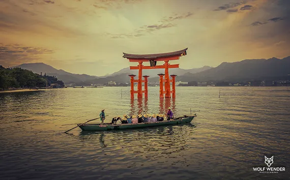 OnPage-Optimierung - Website-Optimierung für bessere Rankings in Dessau-Roßlau