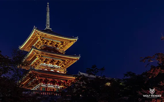 SEO Agentur Halle - Öffnungszeiten und Erreichbarkeit