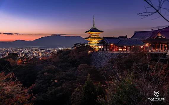 SEO-Beratung und Strategieentwicklung in Dessau-Roßlau - Professionelle SEO-Beratung