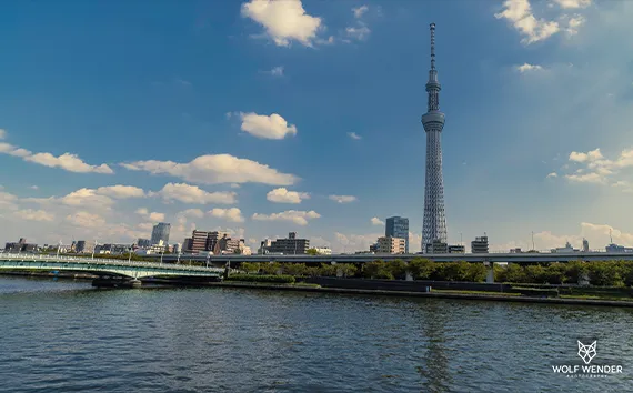 FAQ - Häufig gestellte Fragen zu SEO in Dessau-Roßlau