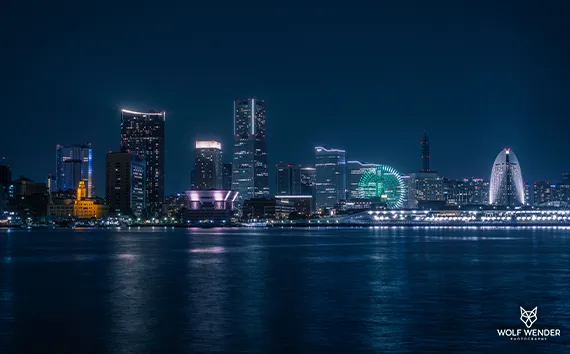 SEO-Strategie Dessau-Roßlau - Durchdachte Planung für nachhaltigen Erfolg