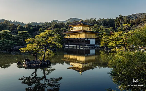 SEO Webdesign in Dessau-Rosslau - Websites die bei Google gefunden werden