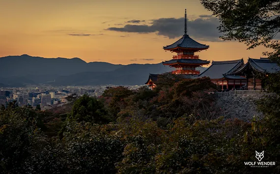 Local SEO - Lokale Sichtbarkeit für Ihr Unternehmen in Dessau-Roßlau